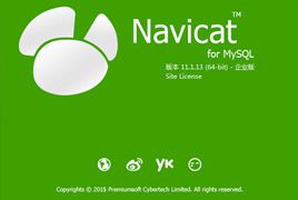 Navicat for MySQL V11.0.19 x64 中文版+注册机