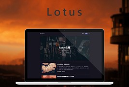 WordPress主题Lotus1.1/暗黑极客自媒体主题