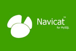 浅析Navicat如何修改语言（中文or英文）？
