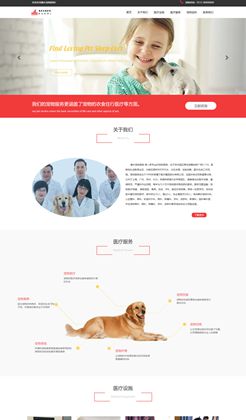 红色大气的宠物兽医医院静态HTML网站模板