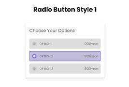 5款CSS3选项框单选按钮样式