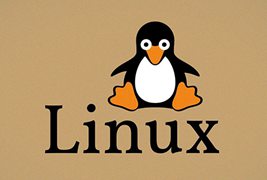 Linux配置永久IP地址脚本
